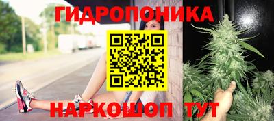 ГАЛЛЮЦИНОГЕННЫЕ ГРИБЫ Ставрополь
