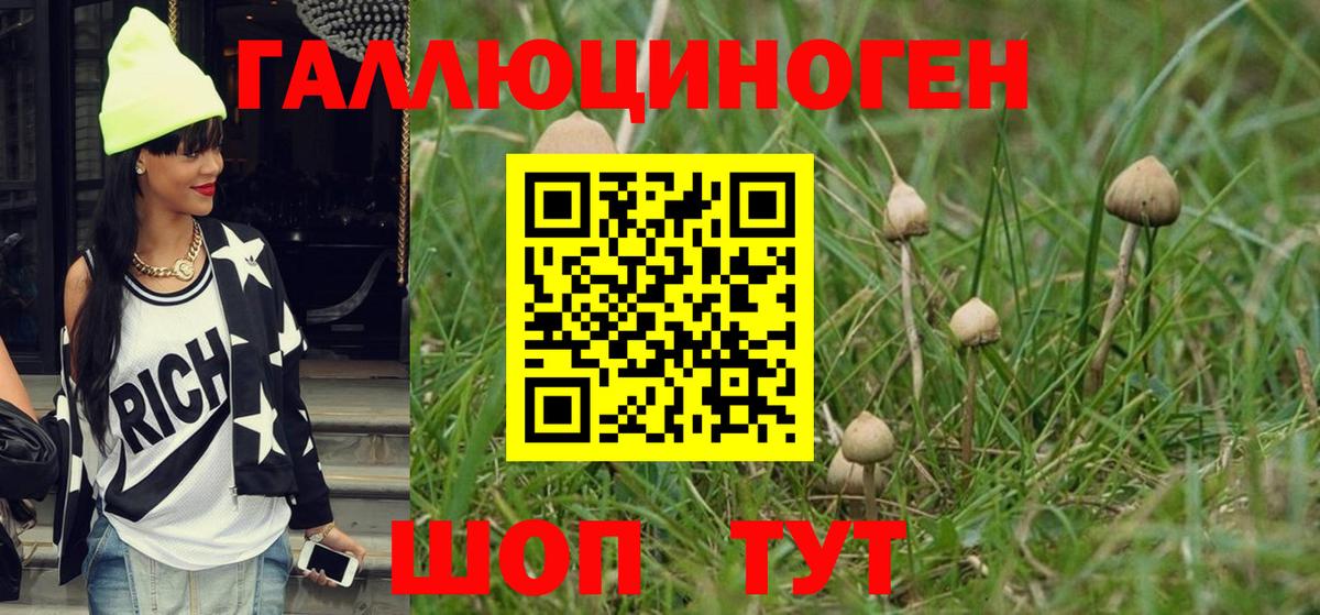 Галлюциногенные грибы ЛСД Моздок