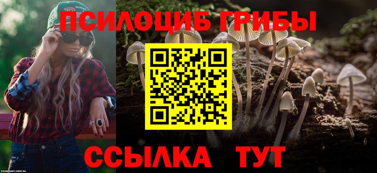 Псилоцибиновые грибы прущие грибы  Псилоцибиновые грибы MAGIC MUSHROOMS  Моздок  Вход с VPN 